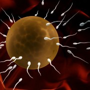 Infertility / Fertility related image